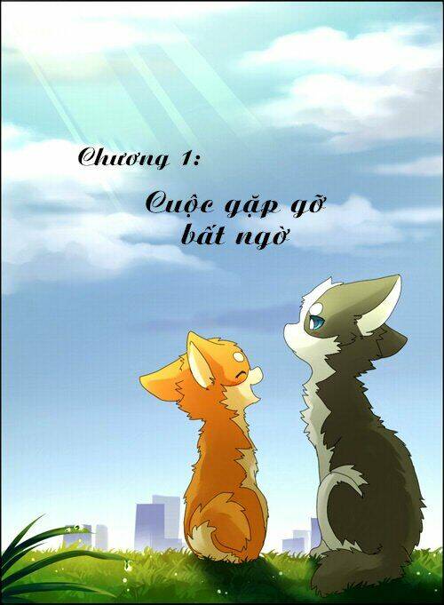 Chương 1 - Trang 4