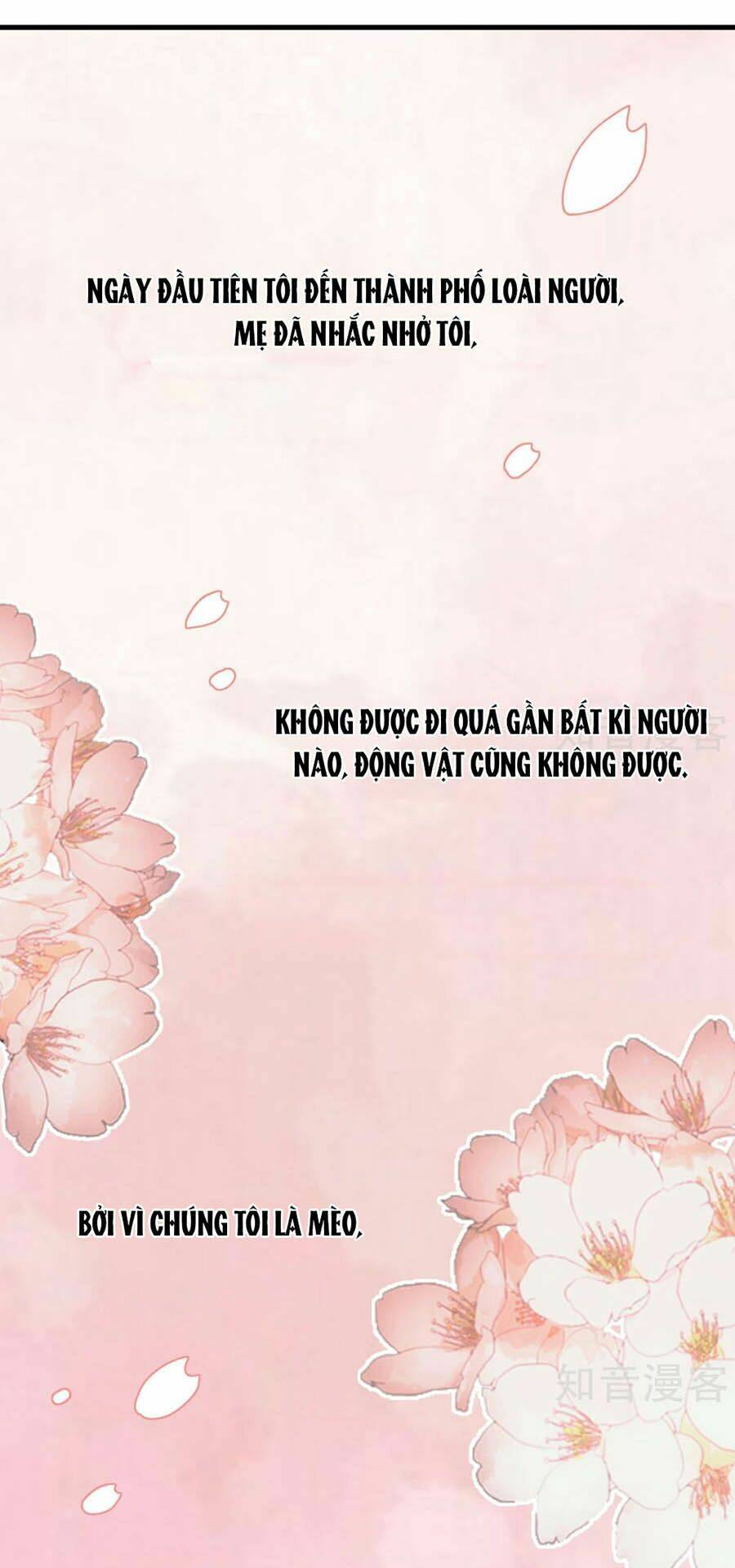 Chương 20 - Trang 1