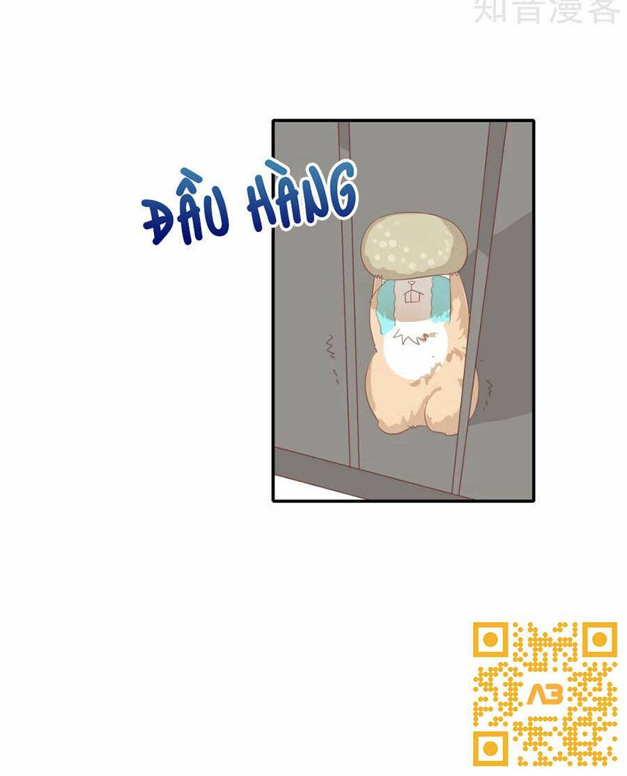 Chương 25.8 - Trang 5