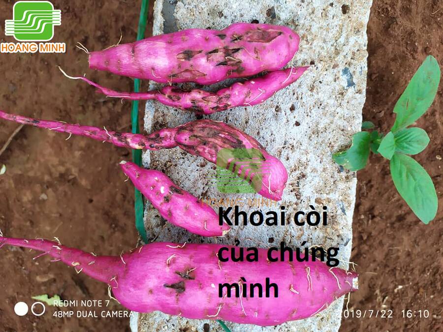 Chương 100 - Trang 77