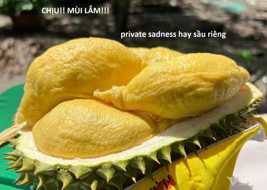 Chương 101 - Trang 94