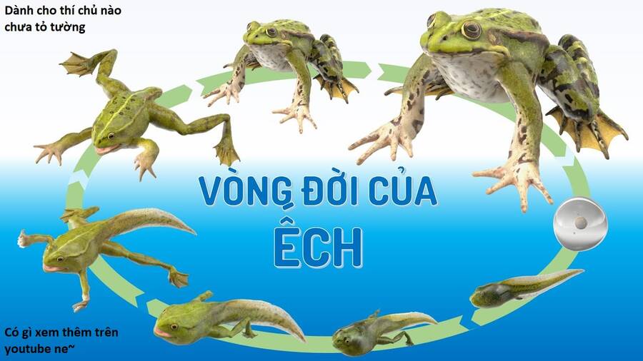Chương 101 - Trang 97