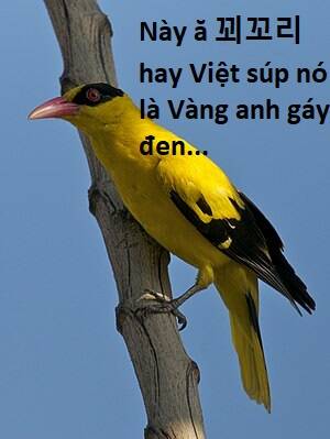 Chương 107 - Trang 84