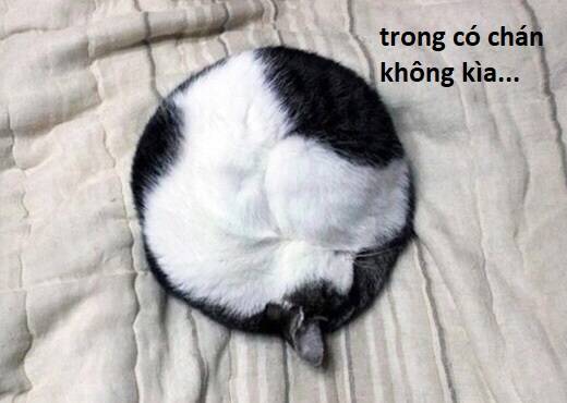Chương 107 - Trang 86