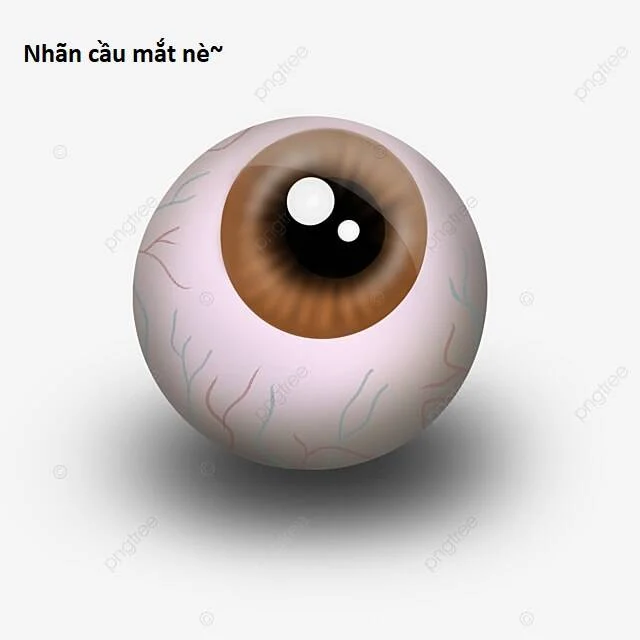 Chương 88 - Trang 61