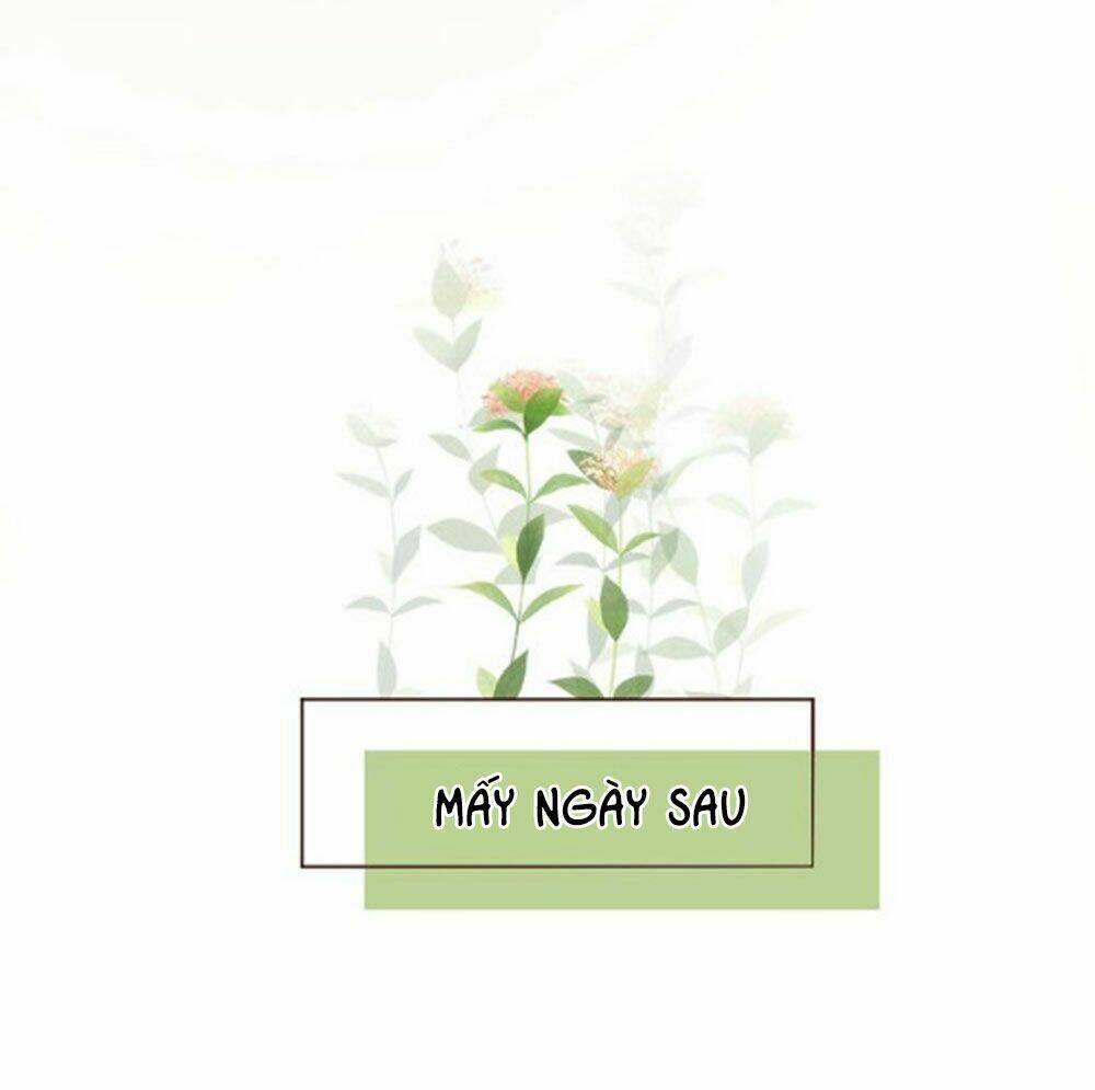 Chương 39 - Trang 15