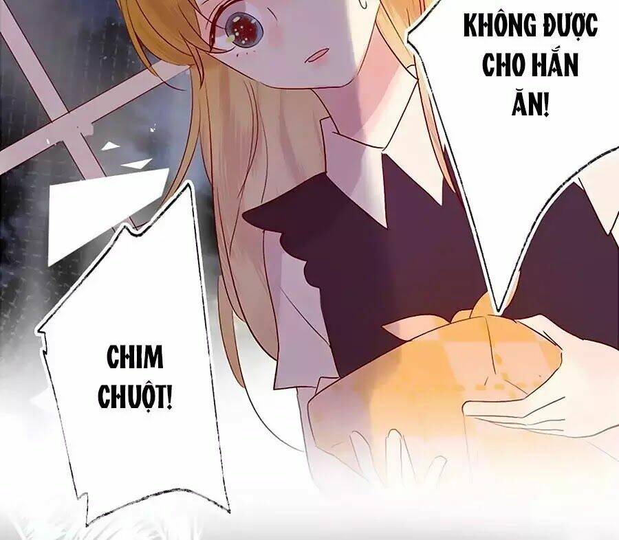 Chương 66 - Trang 29