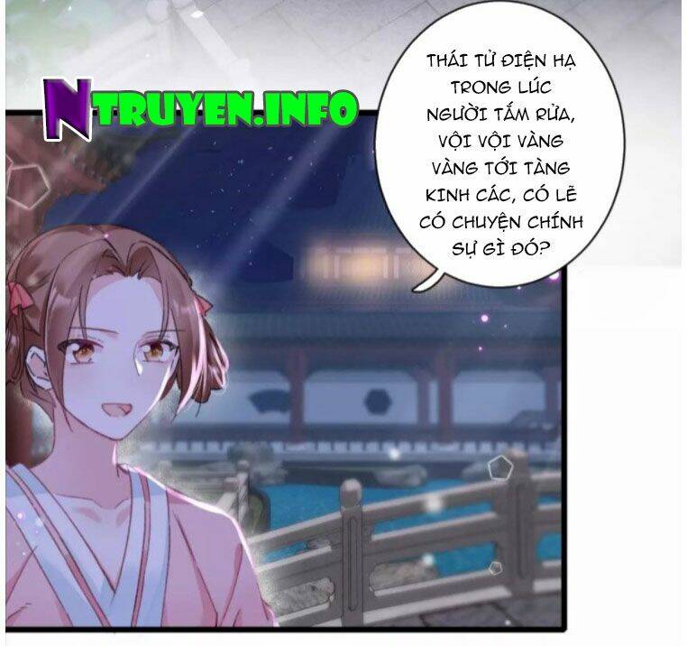 Chương 195 - Trang 5
