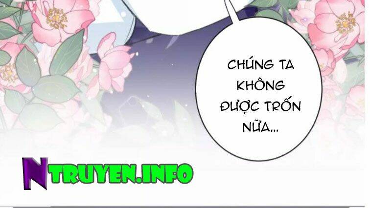 Chương 197 - Trang 5