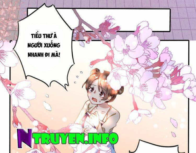 Chương 2.2 - Trang 28