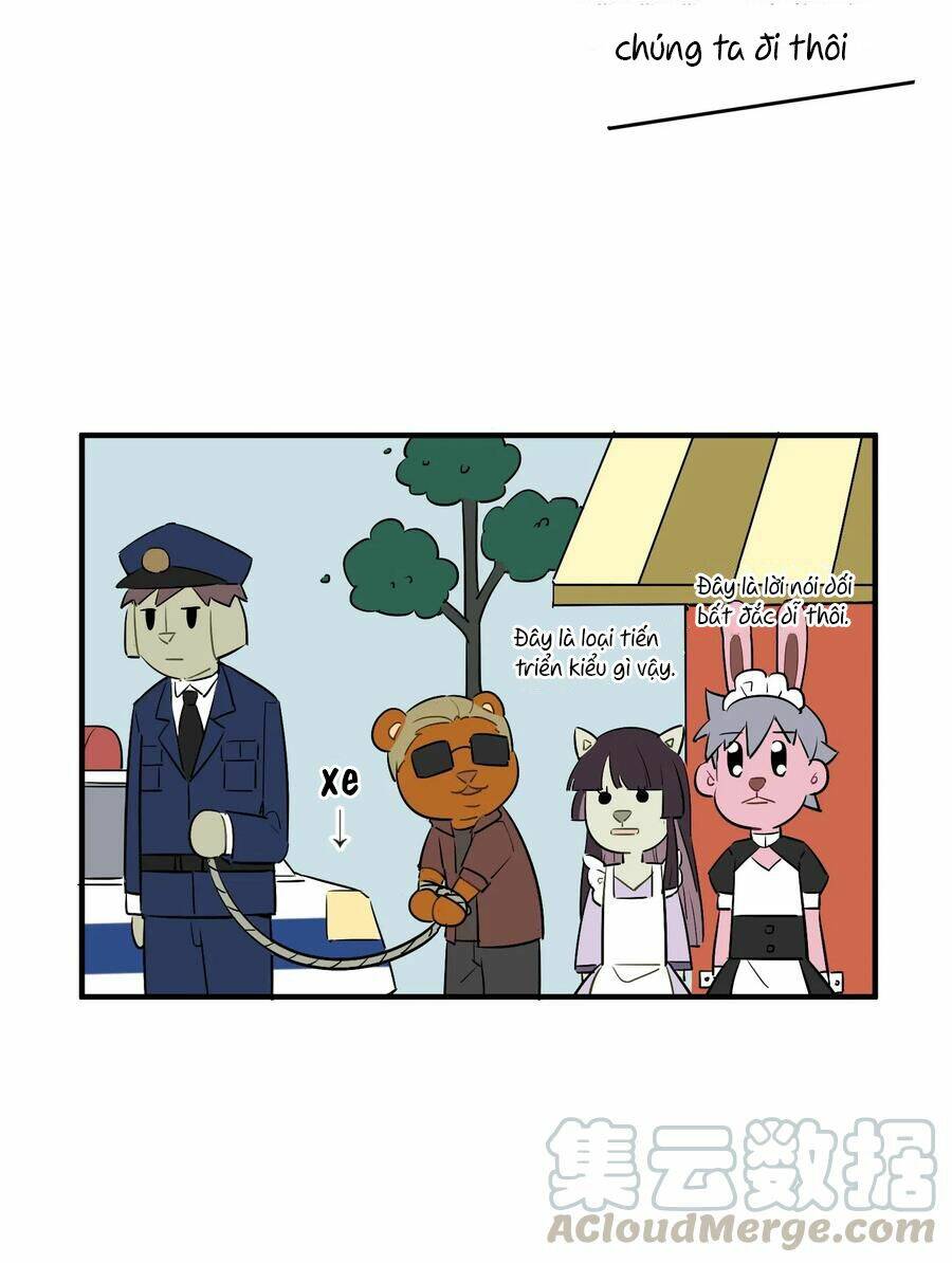 Trang 17