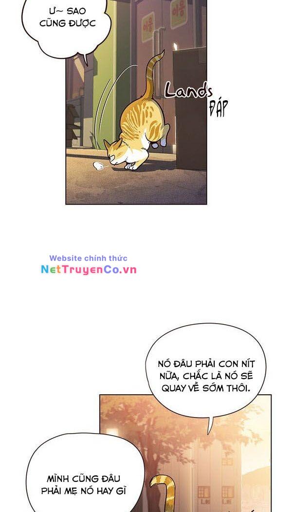 Chương 13 - Trang 5