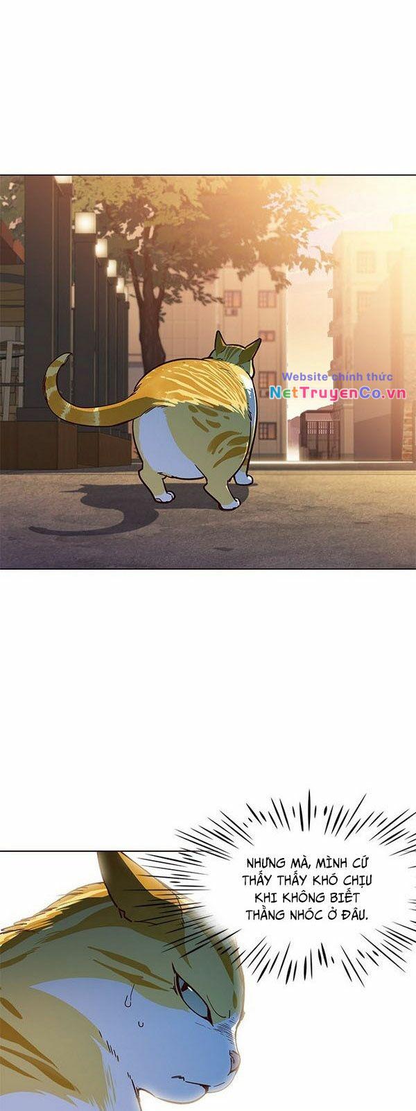 Chương 13 - Trang 7
