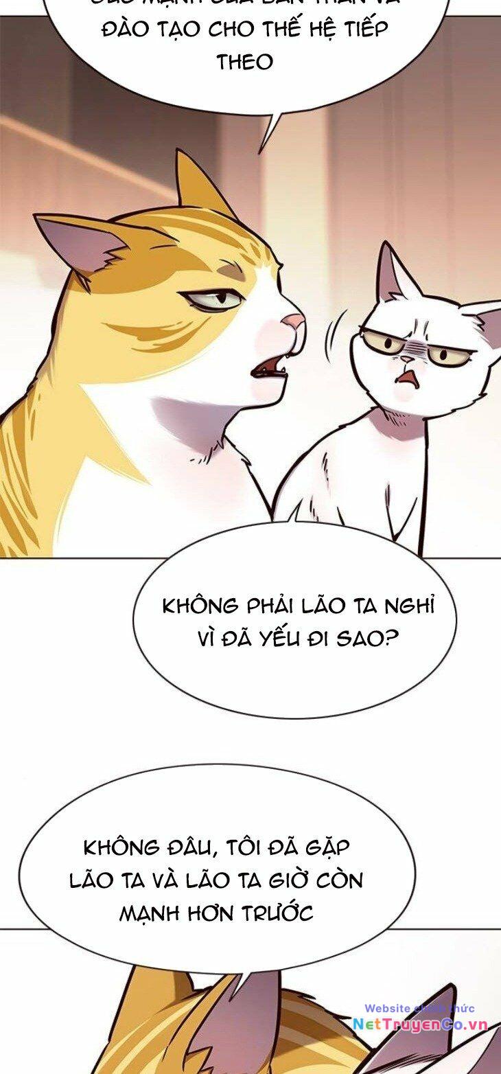 Chương 146 - Trang 49