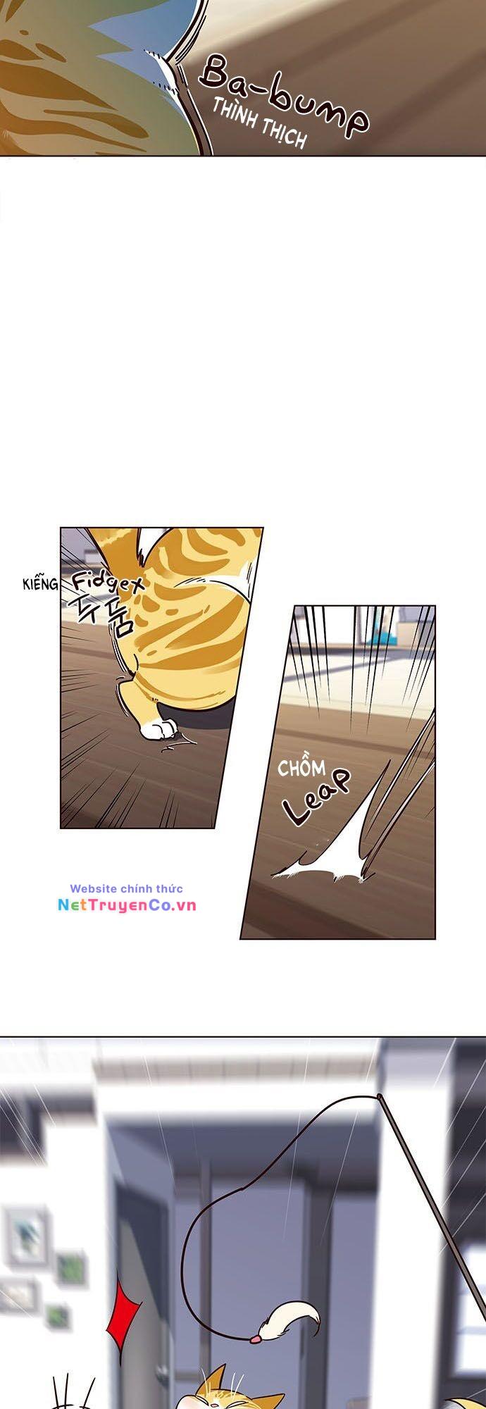 Chương 16 - Trang 21