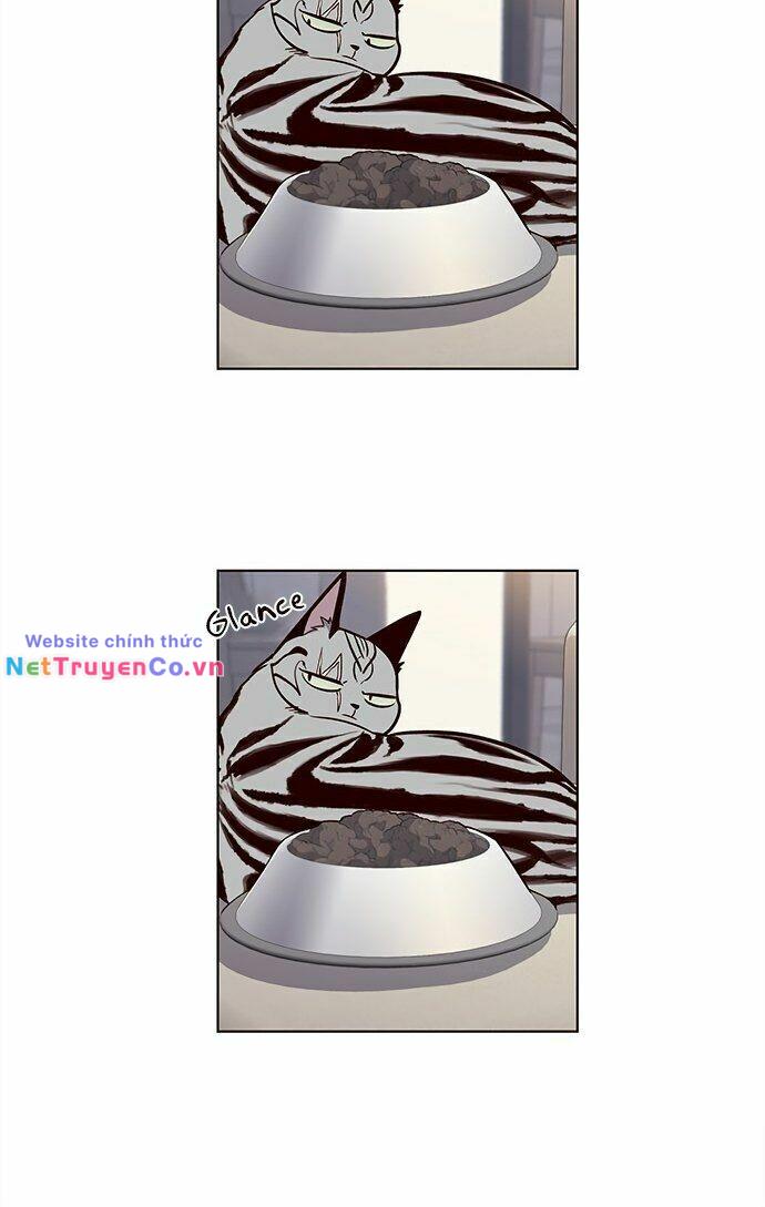 Chương 22 - Trang 29