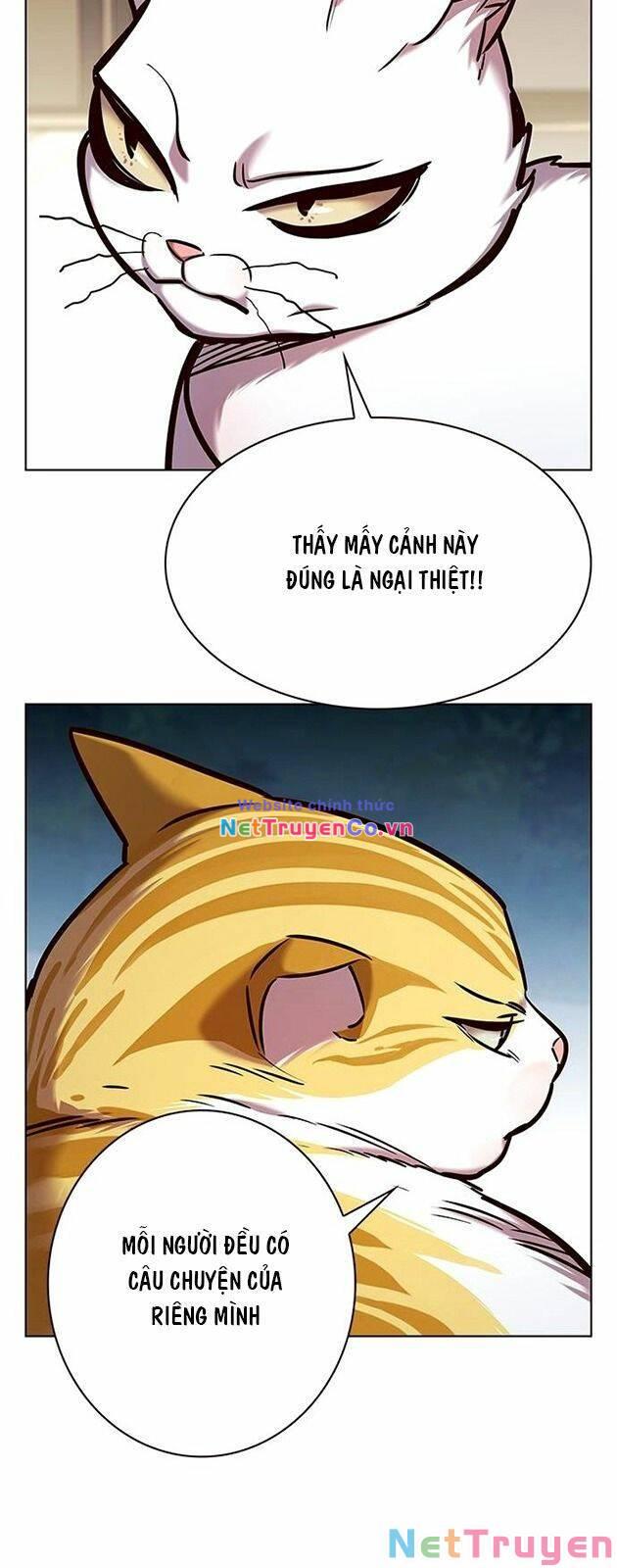 Chương 227 - Trang 3
