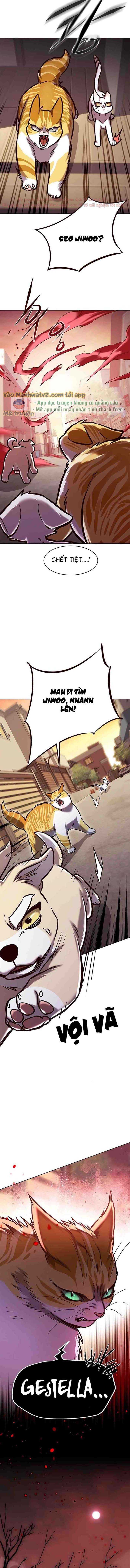 Chapter 295 - Trang 11