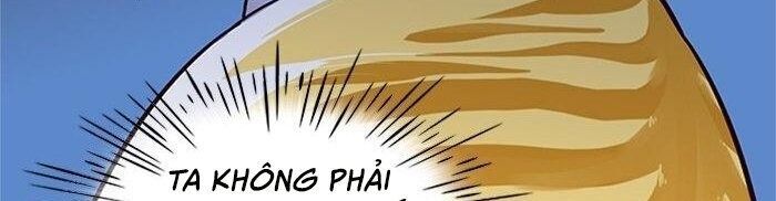 Trang 66