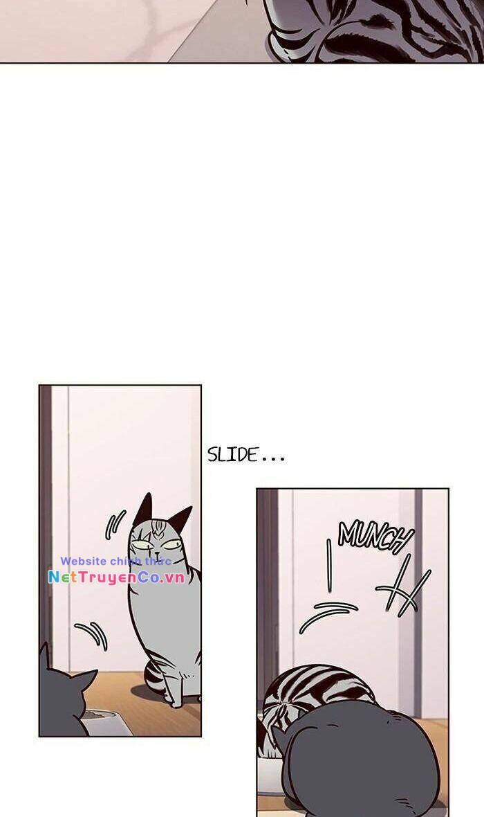 Chương 56 - Trang 42