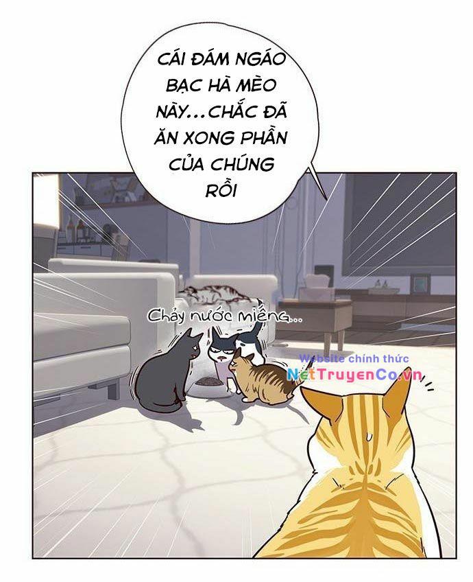 Chương 9 - Trang 35