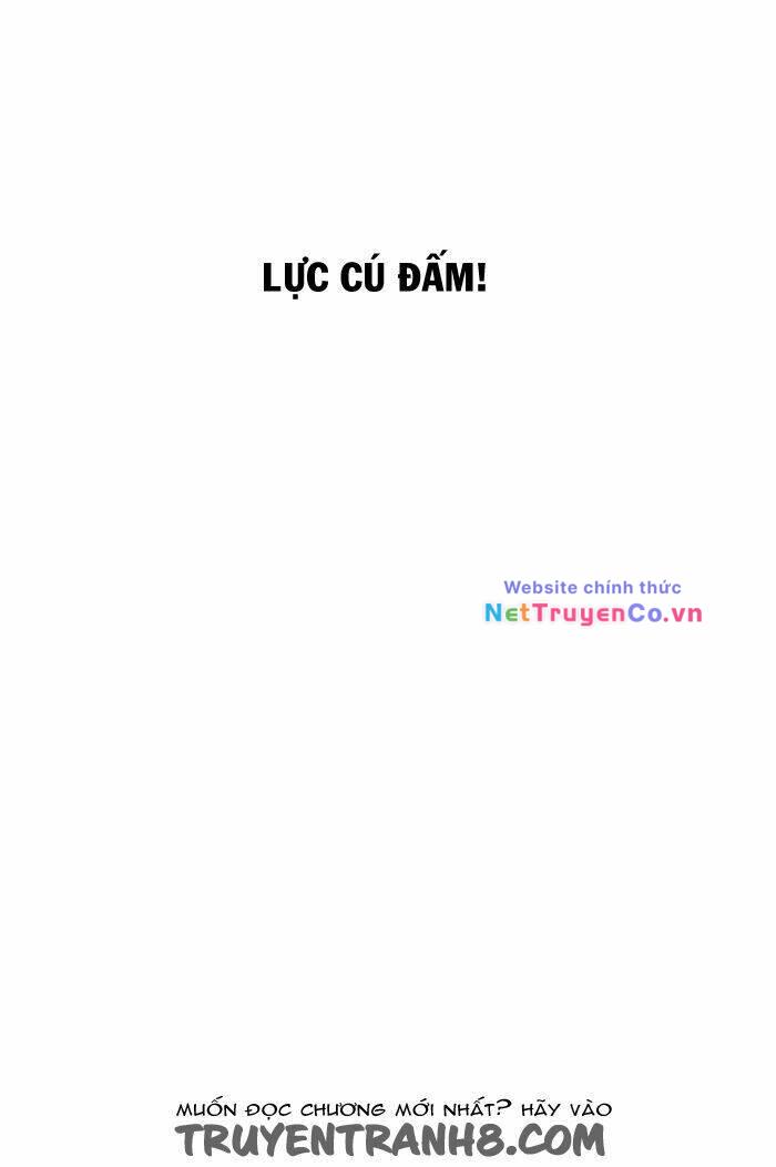 Chapter 113 - Trang 11