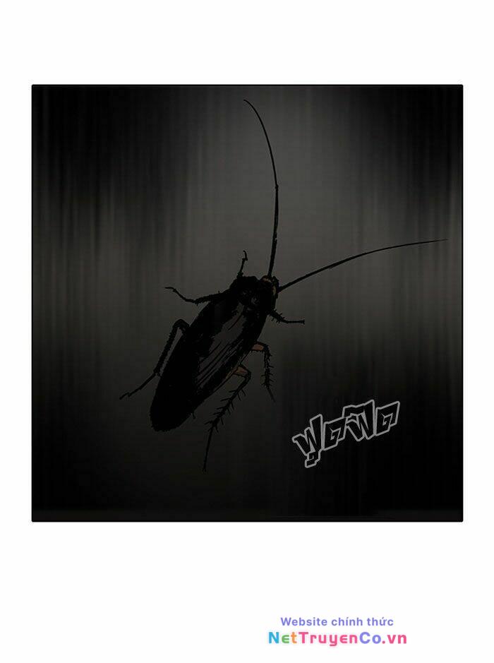 Chapter 116 - Trang 8
