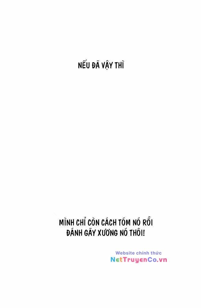Chapter 126 - Trang 38