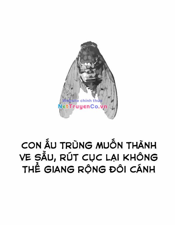 Chapter 190 - Trang 132