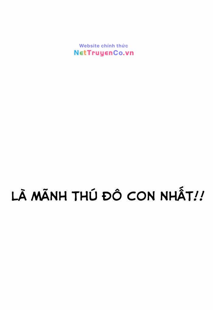 Chapter 202 - Trang 37