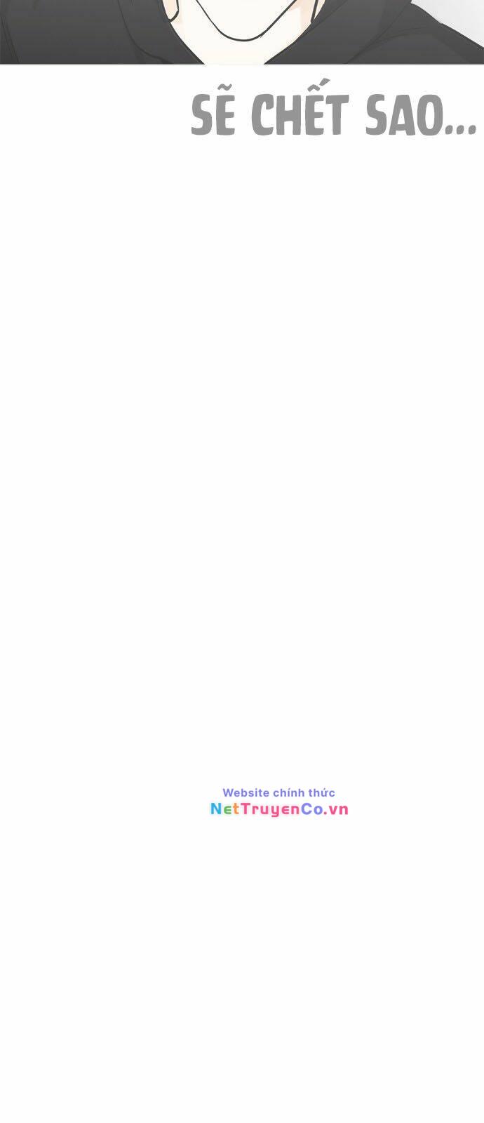 Chapter 229 - Trang 91