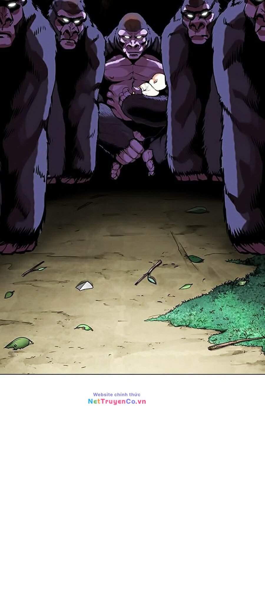 Chapter 333 - Trang 13