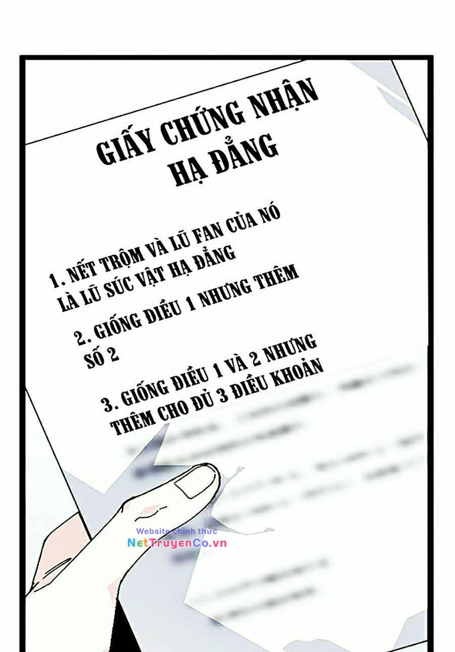 Chapter 335 - Trang 1
