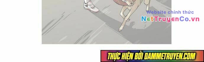 Chapter 61 - Trang 43