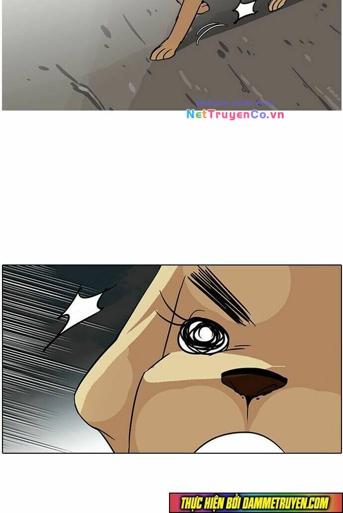 Chapter 70 - Trang 43