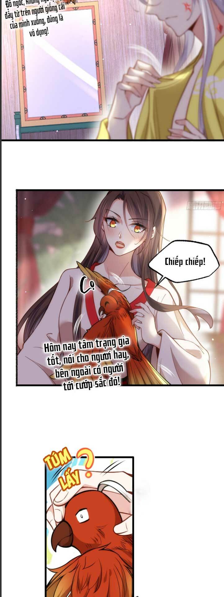 Chương 204 - Trang 7