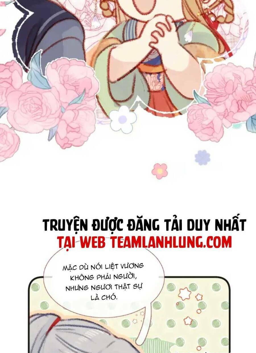 Trang 49