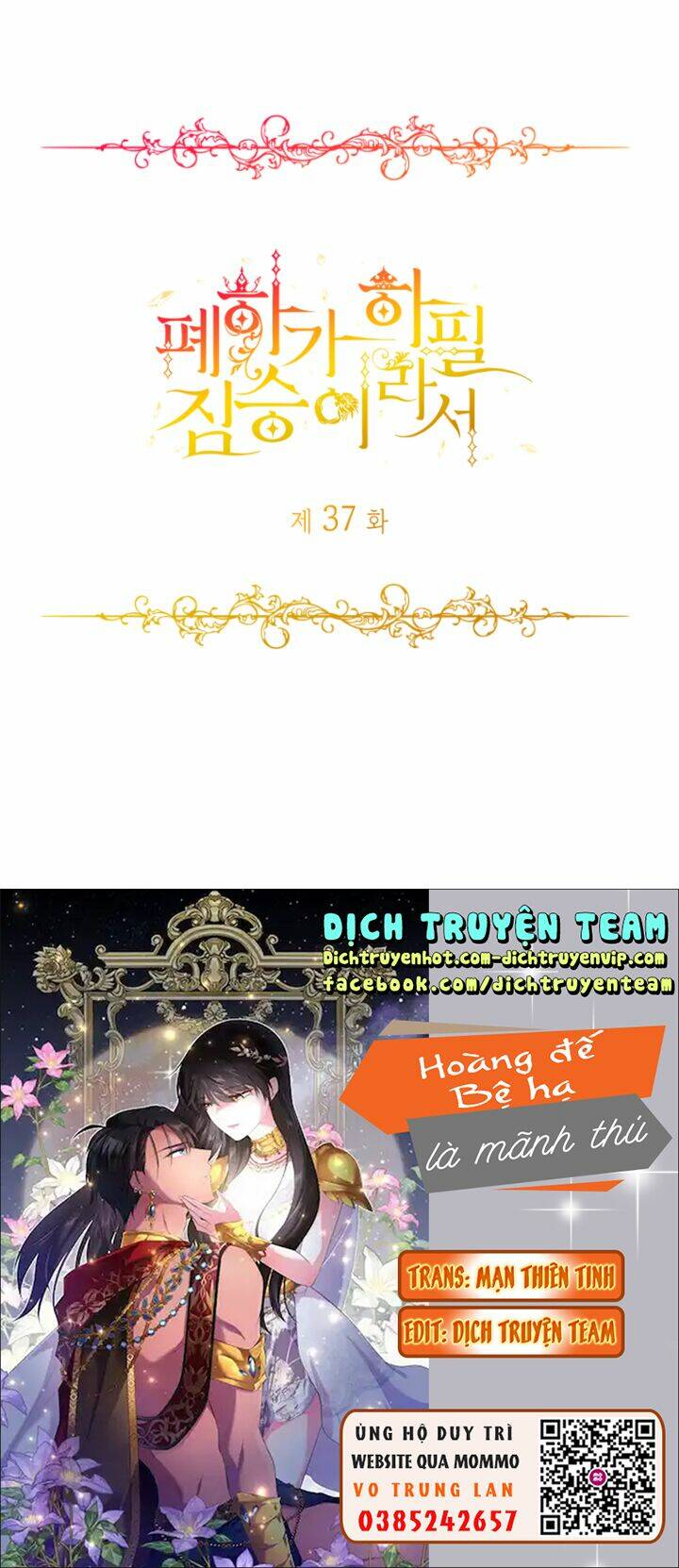 Chương 37 - Trang 1