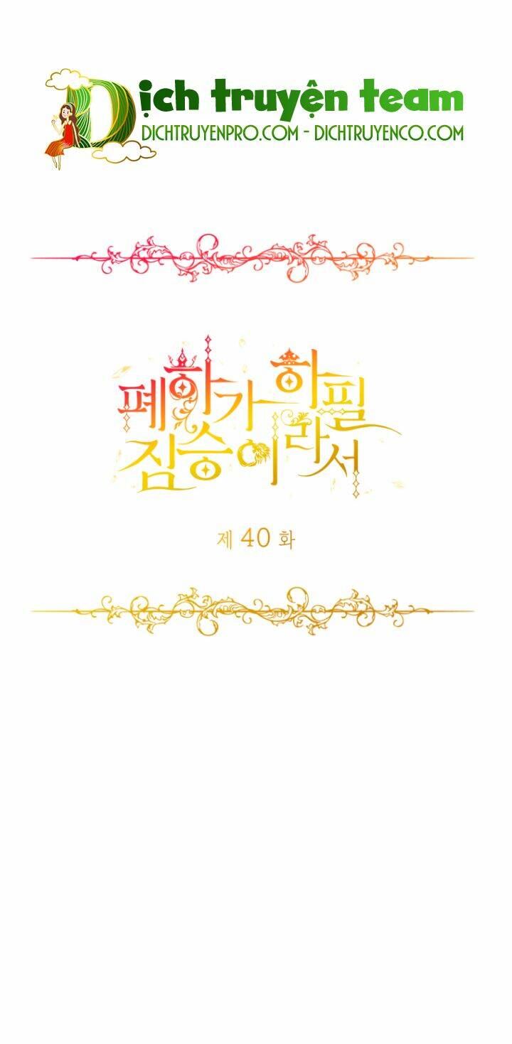 Chương 40 - Trang 3