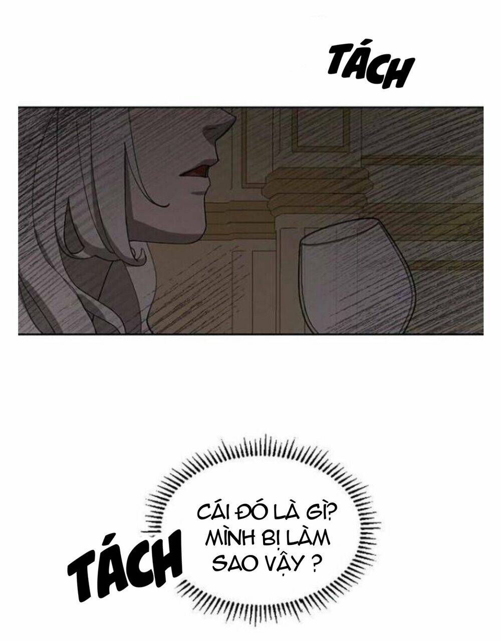 Hoàng Đế Đảo Ngược Thời Gian - Chap 20 - Trang 20