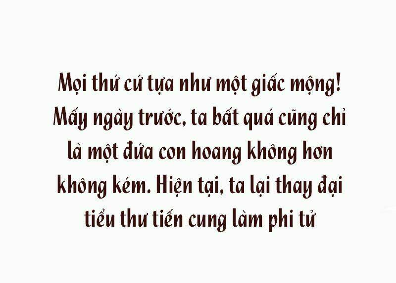 Chương 0 - Trang 5