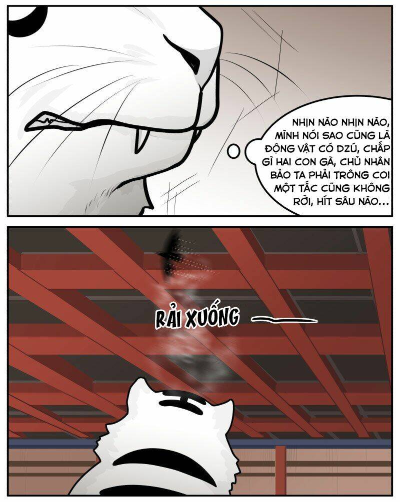 Trang 5