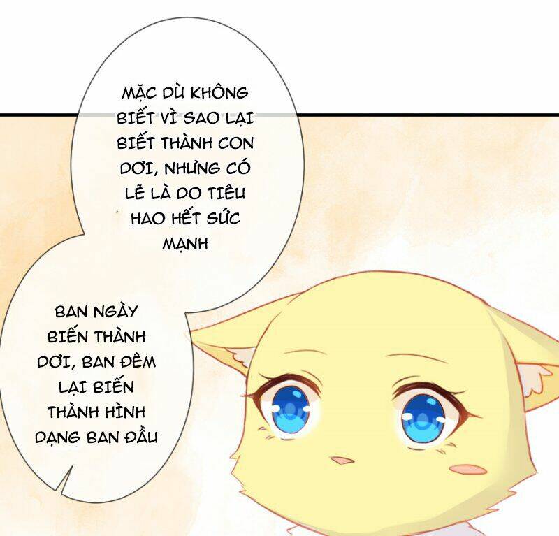Trang 68