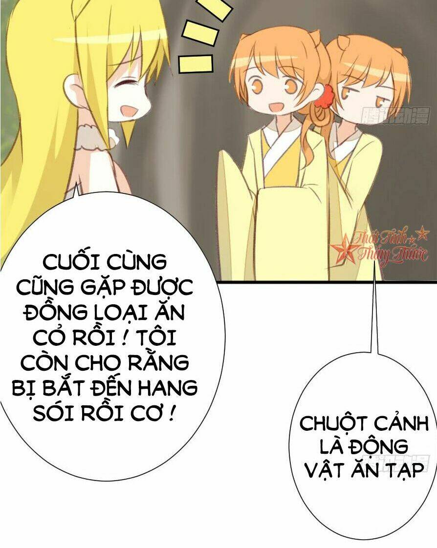 Trang 46