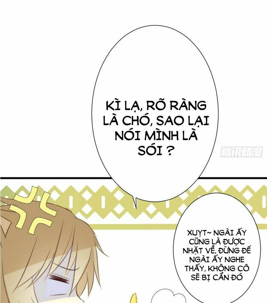 Trang 52