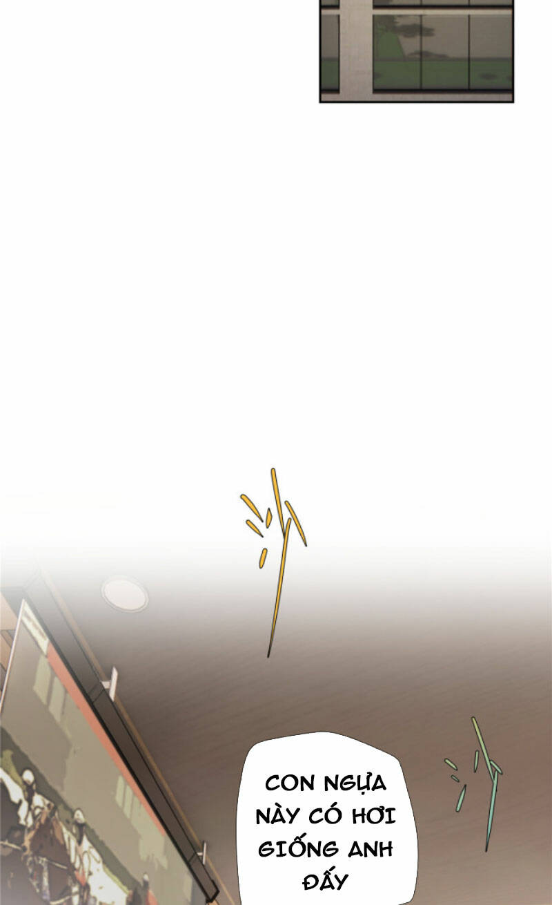 Chương 13 - Trang 19