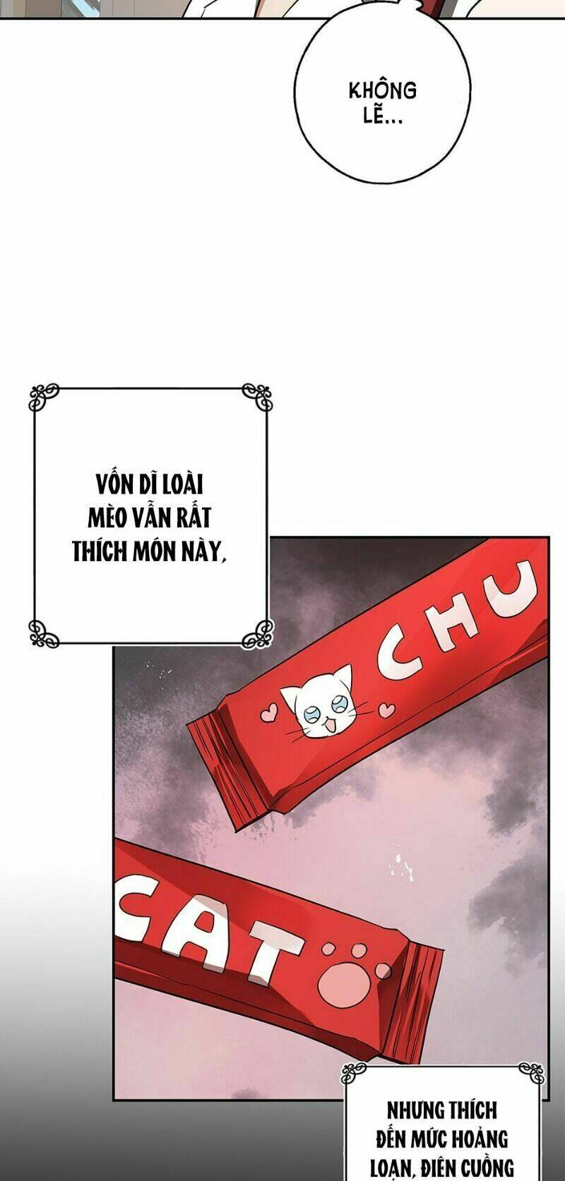 Chương 37 - Trang 49