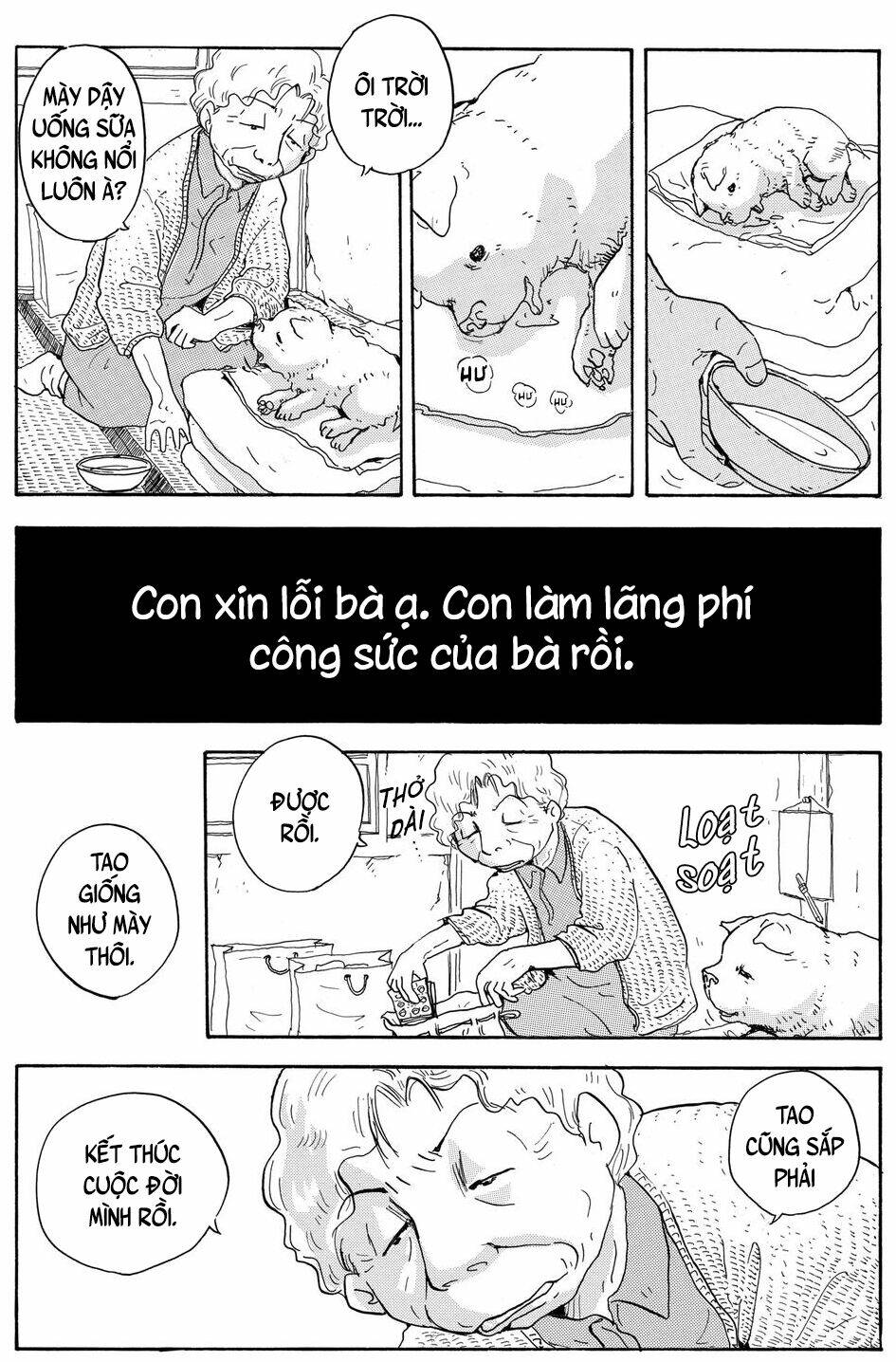 Chương 7 - Trang 14