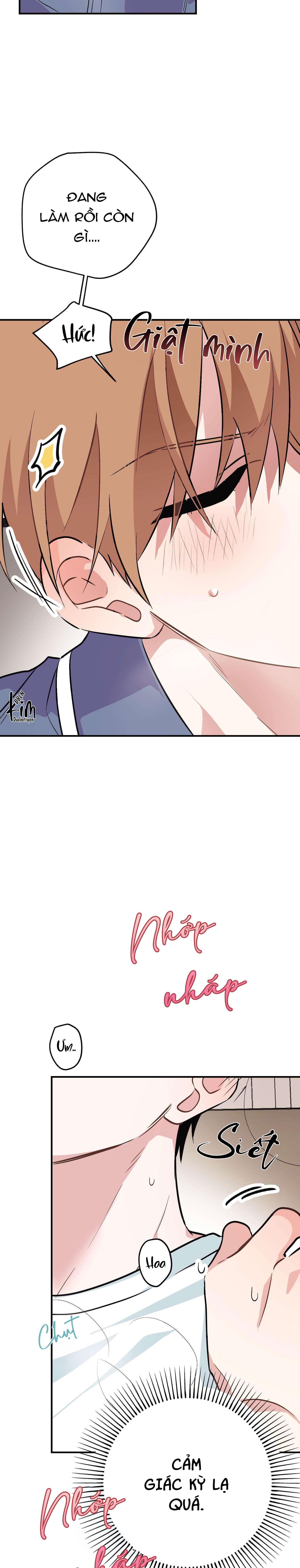 Trang 17