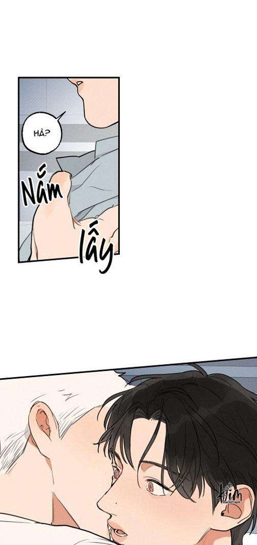 Trang 43